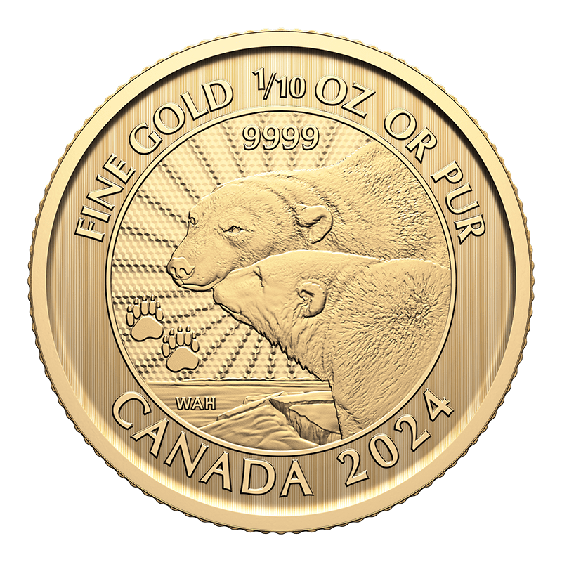 Image pour Pièce de 1/10 oz en or de 5 $ – La majestueuse ourse polaire et ses oursons (2024) à partir de Métaux précieux TD
